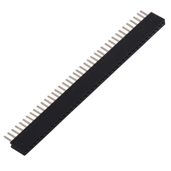 40x1FemaleBergStrip_1000x_59696528-2c8f-4bc3-8d72-68bf2bb94a5c - Roboracter