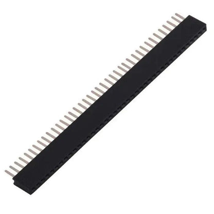 40x1FemaleBergStrip_1000x_59696528-2c8f-4bc3-8d72-68bf2bb94a5c - Roboracter