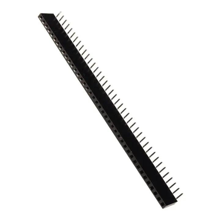40x1rightangleFemaleBergStrip_1000x_d21f9c94-c801-44f3-a289-33808904b77c - Roboracter