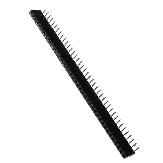 40x1rightangleFemaleBergStrip_1000x_d21f9c94-c801-44f3-a289-33808904b77c - Roboracter