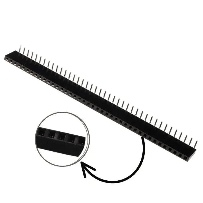 40x1rightangleFemaleBergStrip_2_1000x_a6f45ba4-021b-43bb-bae5-96c6145fffba - Roboracter