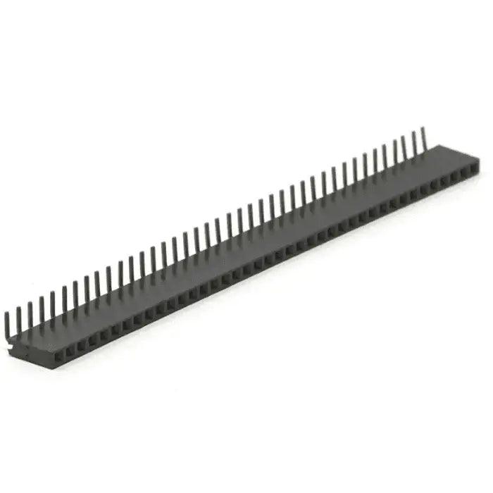 40x1rightangleFemaleBergStrip_3_1000x_261b2f86-f654-4720-8a31-c66cb16645e7 - Roboracter