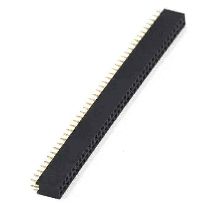 40x2FemaleBergStrip_1000x_e797dc78-489e-40fe-a8f4-cf11f0d04cf9 - Roboracter