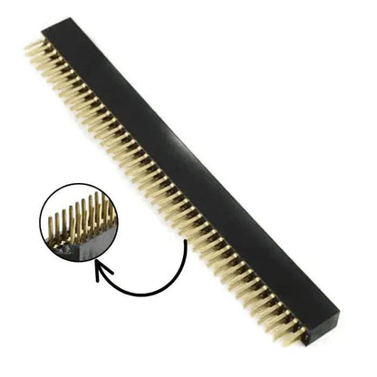 40x2FemaleBergStrip_1_1000x_7a214cdc-e3c2-40ba-8b94-91da53ce912f - Roboracter