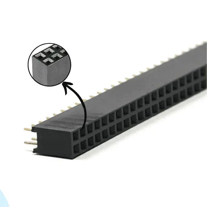 40x2FemaleBergStrip_2_1000x_c5ca13f4-84f1-45bb-86c2-4663eae7944d - Roboracter