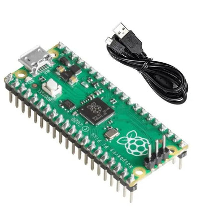 Pico_1_1000x_cb33f825-054d-4fc3-8f42-fc17fdd2101d - Roboracter