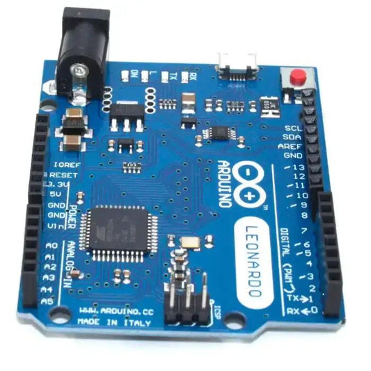 leaonardo2_d95fc91d-7238-48c8-bca5-8b8415200877 - Roboracter