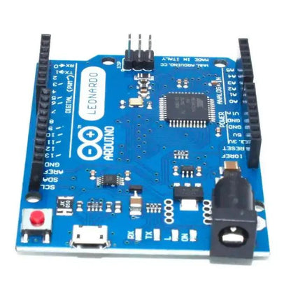 leaonardo3_8de50e82-9475-4e01-8453-25d809e483e0 - Roboracter