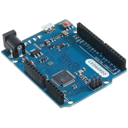 leaonardo2_d95fc91d-7238-48c8-bca5-8b8415200877 - Roboracter